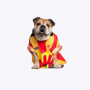 Dog Puppy Plaid
