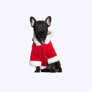 Dog Hoddie