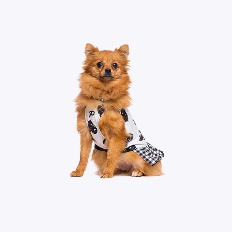 Cheerleader