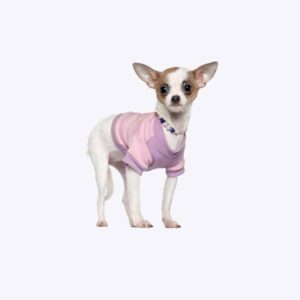 Pet Girl Dress
