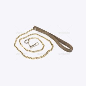 Golden Leash
