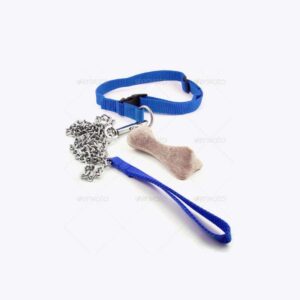 Harness Lead Leash