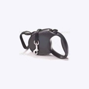 Chain Leashes