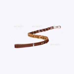 Leather Leash